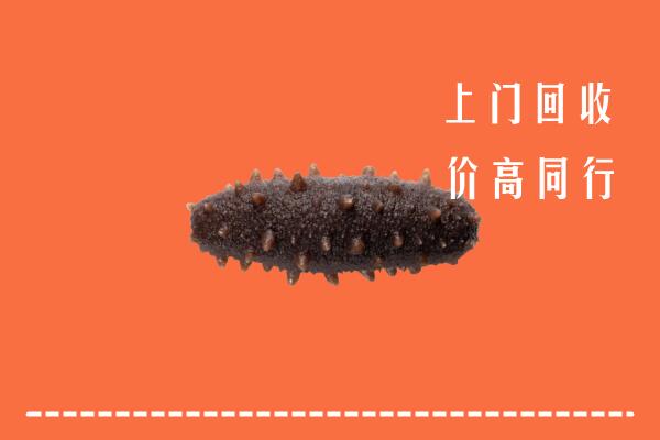 龙安区回收海参