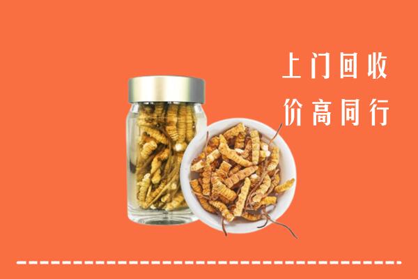 龙安区回收冬虫夏草